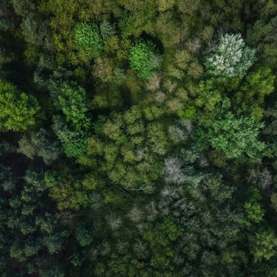 A táj lélegzete fentről nézve.