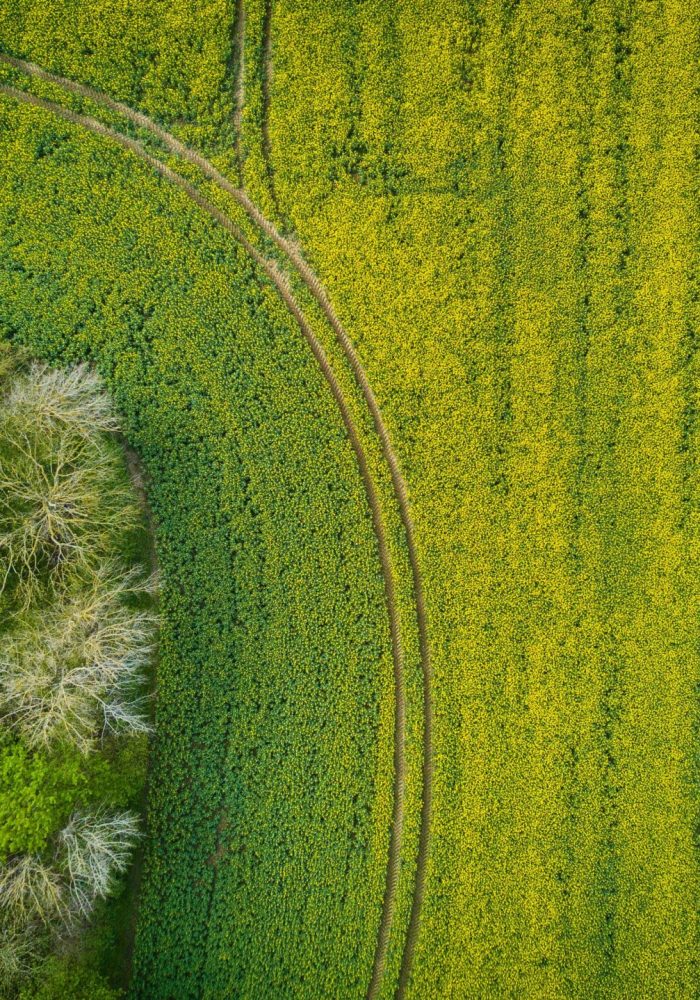 mezőgazdasági felmérések